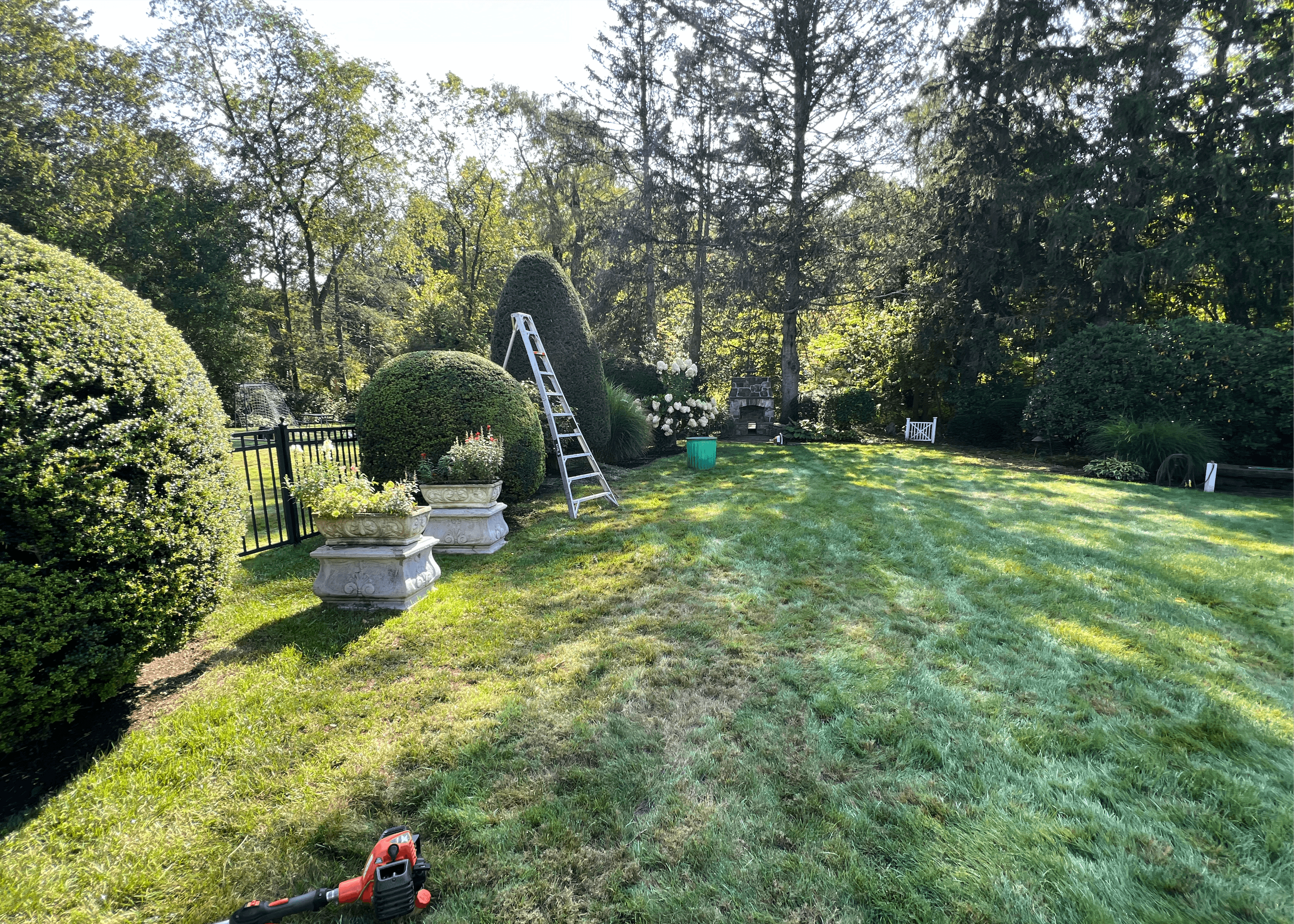 Professional landscaping maintenance MetroWest MA